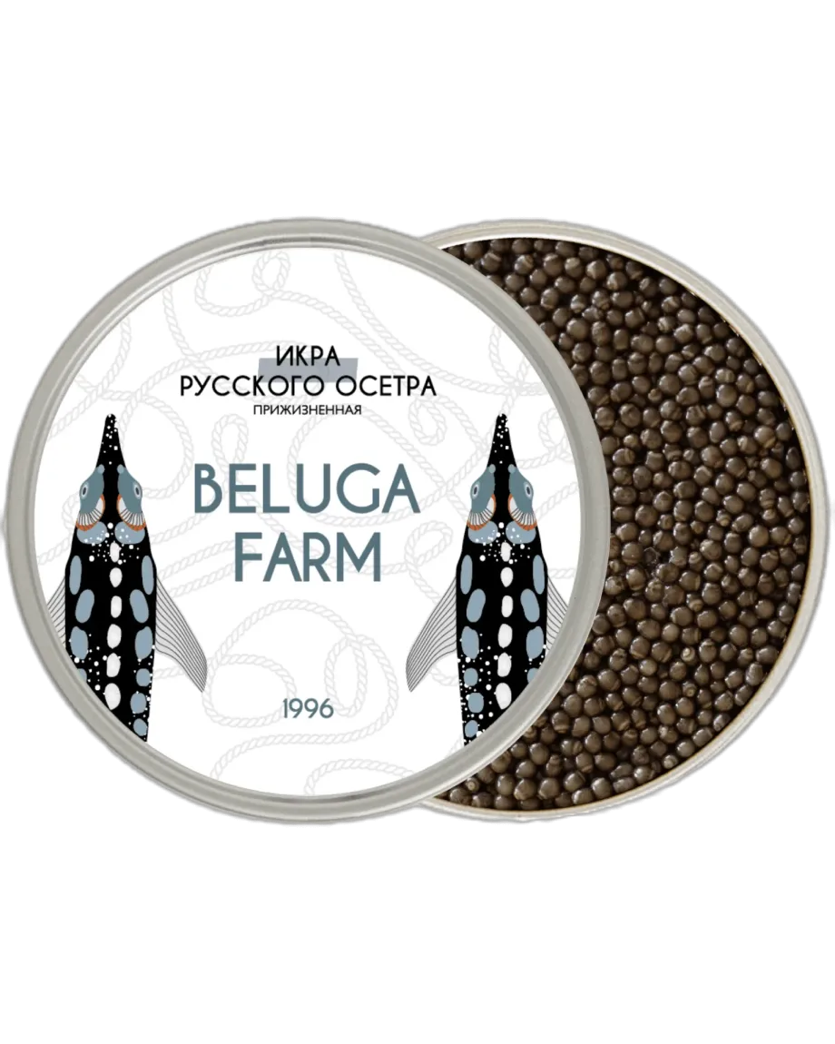 Чёрная икра русского осетра